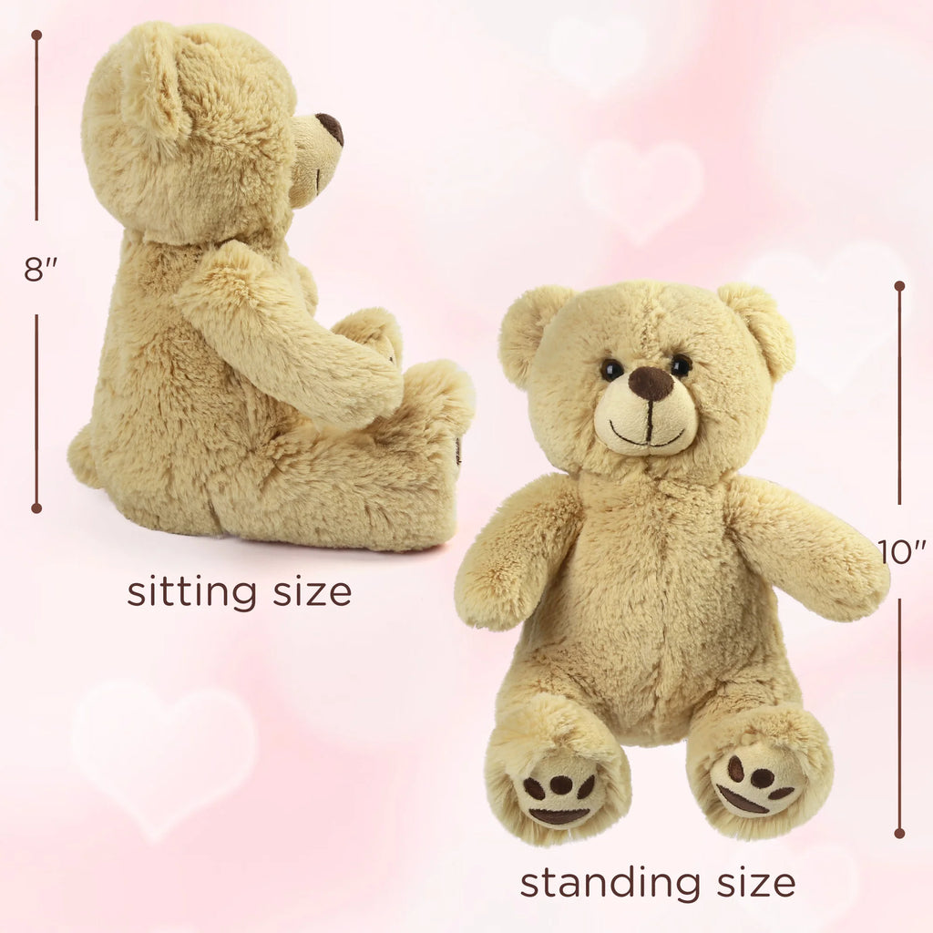 Classic Mini Teddy Bear – The Timeless Cute Companion